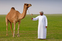 Mahoot