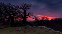 Bradgate Park Leicester