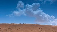 Wahiba sands