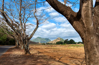 Mauritius