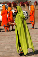 Camel Race Festival 2013